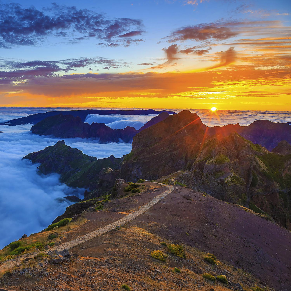 Top 5 must-visit places in Madeira this June!